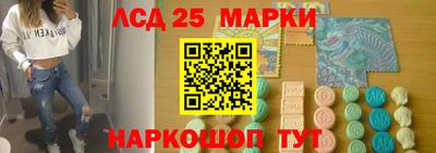 шишки Кандалакша
