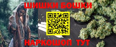 шишки Кандалакша