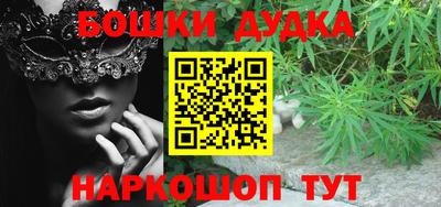 шишки Кандалакша