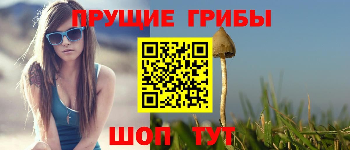 Галлюциногенные грибы мицелий  закладки  Ленинск-Кузнецкий  Псилоцибиновые грибы Magic Shrooms  Вход с VPN 